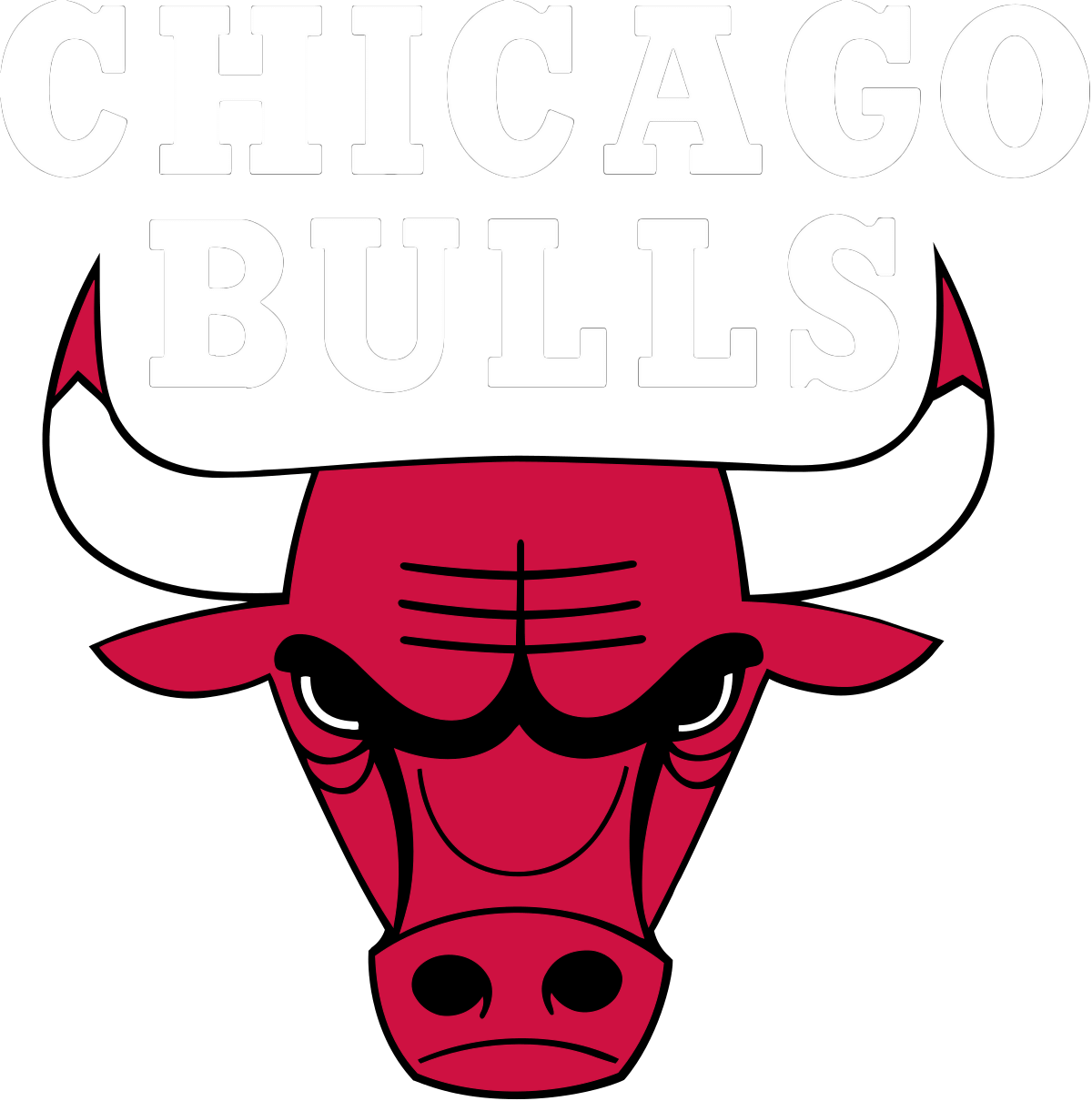 Chicago_Bulls_logo.svg (1) (1)